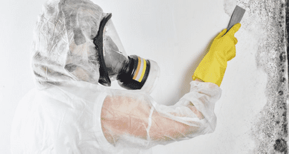 Mold Remediation