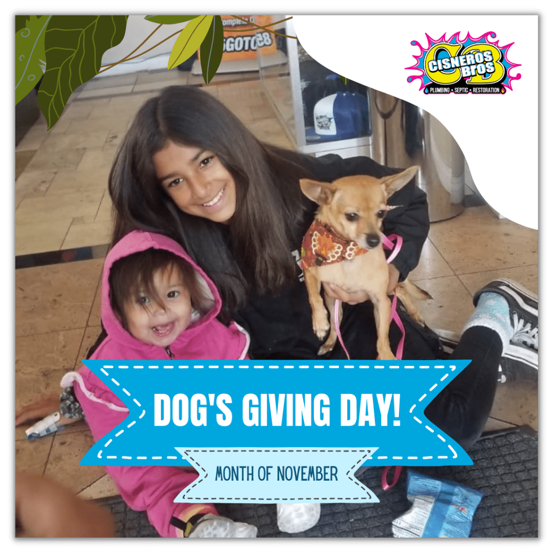 Dog's Giving Day