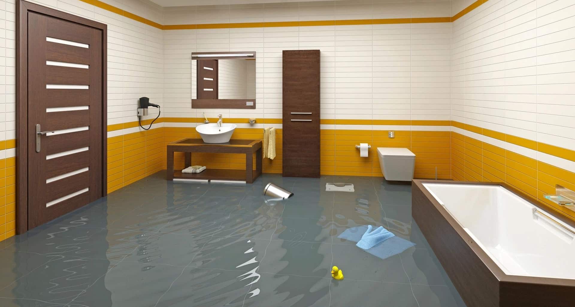 Flood Damage Cleanup and Restoration